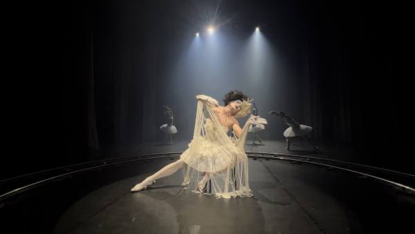 Květinová unie – promítání filmů