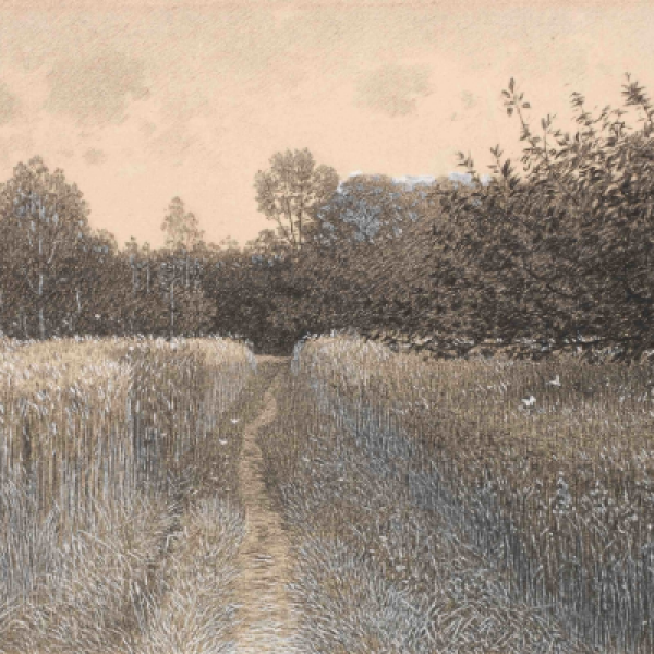 Antonín Chittussi, Through Field and Forest