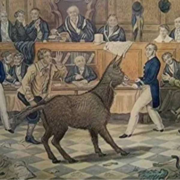 contra Animalia ipsis: Performativní přednáška o historii soudů se zvířaty