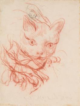 Johann Heinrich Roos, Studie kočky, asi 1650–1685, kresba rudkou
