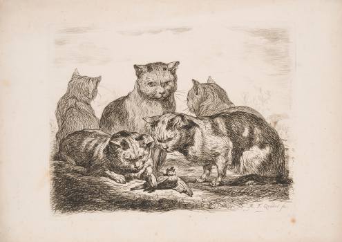 Ferdinand Martin Chvátal, zv. Quadal, Cats with a Bird, 1793, etching