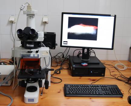 Optická mikroskopie: USB mikroskopy; Polarizační světelný mikroskop Eclipse 600 Nikon s digitální kamerou DS-Fi2 Nikon